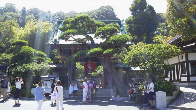 鎌倉の 長谷寺 大仏 高徳院 の行き方を真夏の写真を添えて ひたすら節約ブログ 貯金につながる節約術