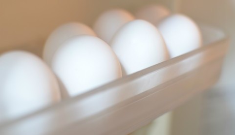 卵-冷蔵庫