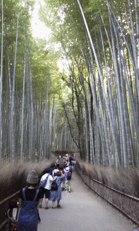 竹林の小径-京都