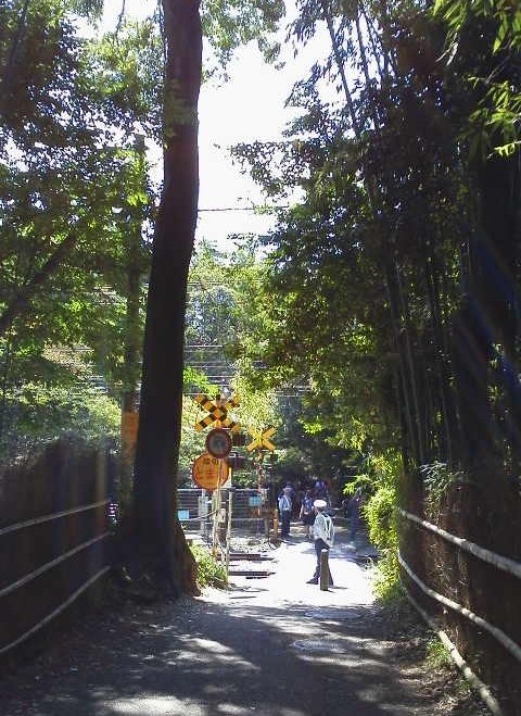 竹林の小径線路-京都