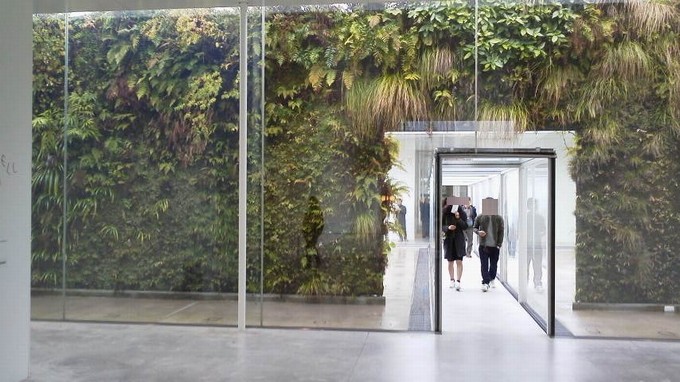 植物-金沢21世紀美術館